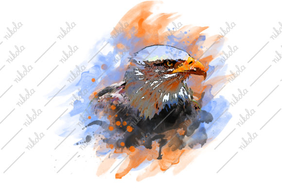 Bald Eagle Watercolor Sublimation Illustrations