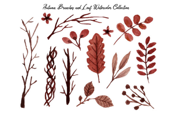 Branch Watercolor Collection and Illustrations
