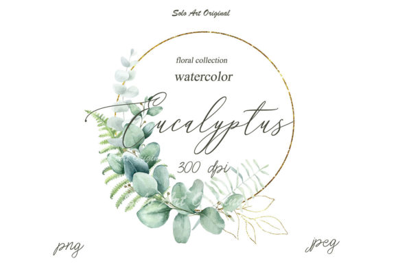 Eucalyptus Frame Watercolor Clipart and Illustrations