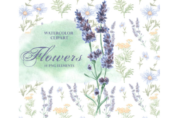 Flowers Watercolor Clipart. Wildflowers