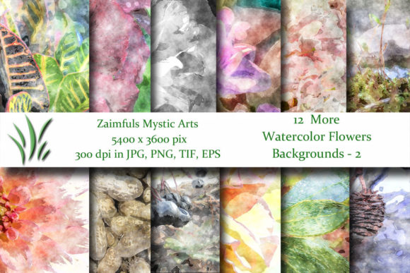 More Watercolor Flowers 2 Illustrations