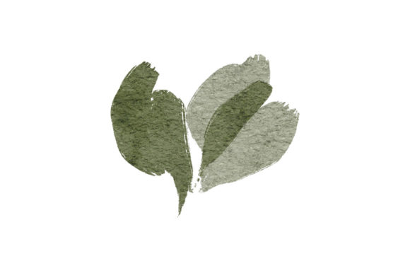 Paint Green Leaf Element Watercolor Illustrations