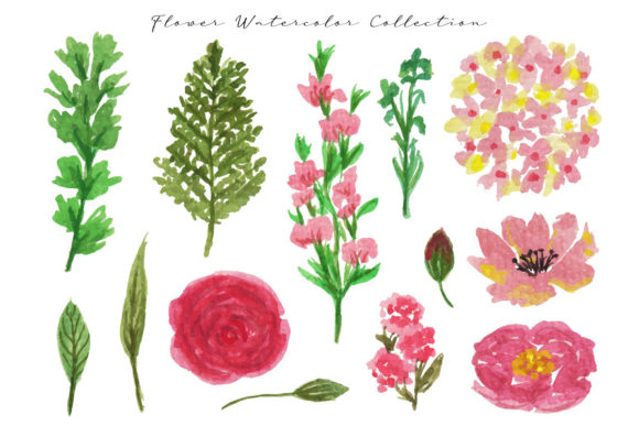 Pink Flower Watercolor Collection & Illustrations