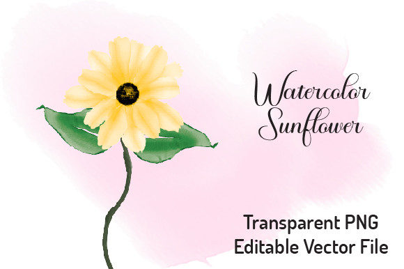 Sunflower Watercolor Clipart 3 Illustrations