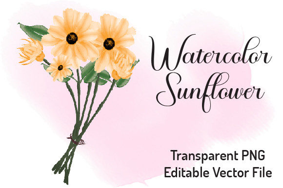 Sunflower Watercolor Clipart and Illustrations