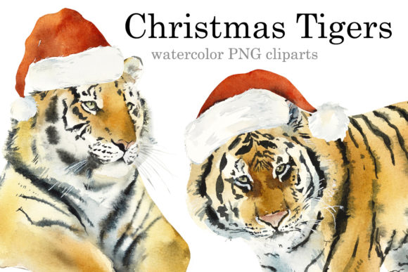 Watercolor Christmas Tigers Illustrations