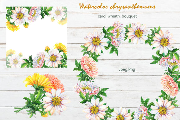Watercolor Chrysanthemum 2 Illustrations