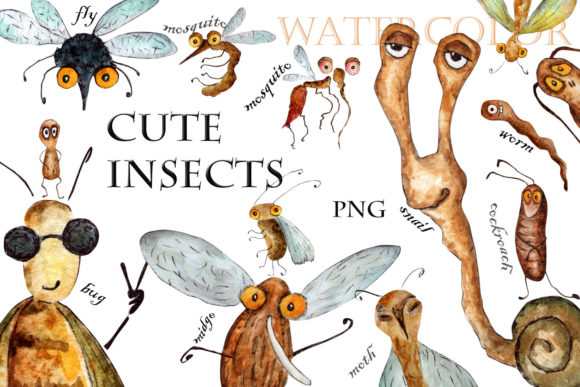 Watercolor Drawings of Cute Insects and Illustrations