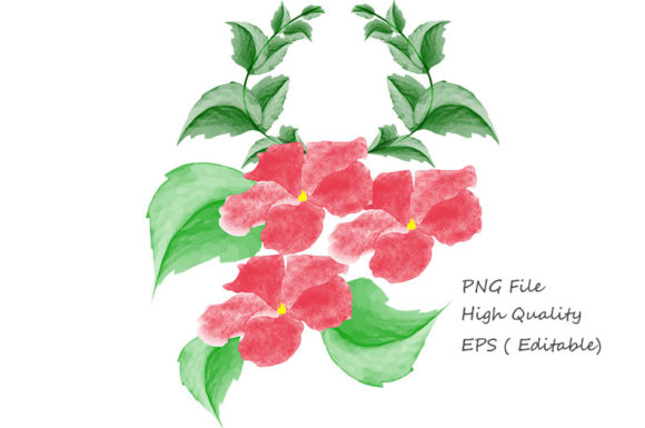 Watercolor Flowers, Floral Design PNG Illustrations
