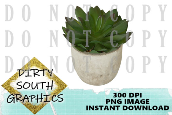 Watercolor Succulent in Cement Pot