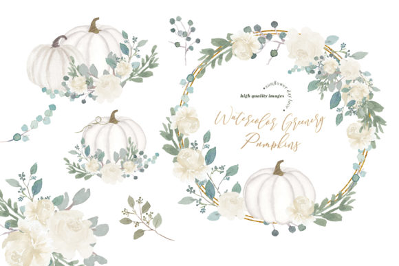 Watercolor White Pumpkin Clipart and Illustrations